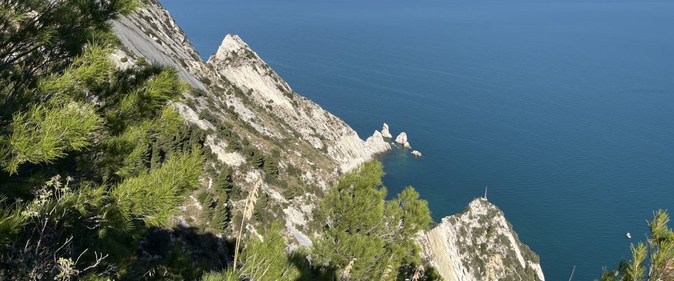 Mio Piccolo Castello