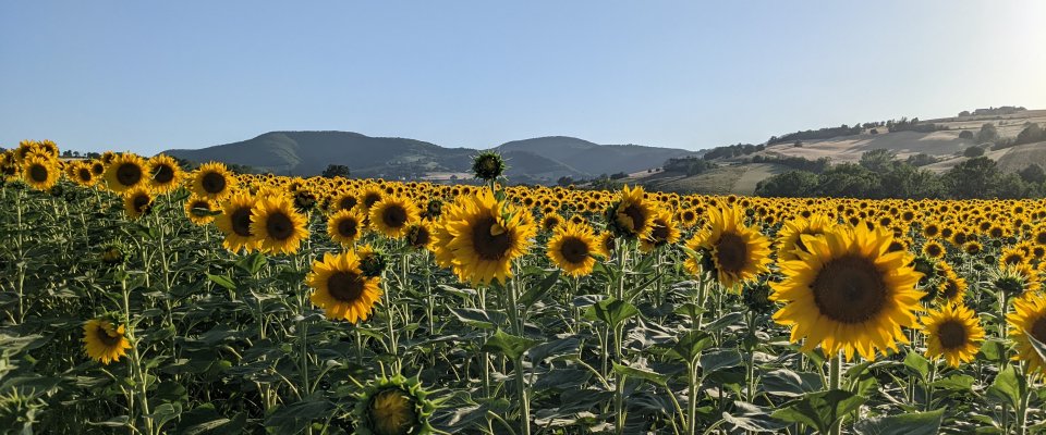Mio Piccolo Castello Mio Piccolo Castello