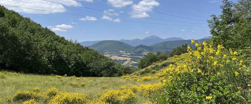 Mio Piccolo Castello