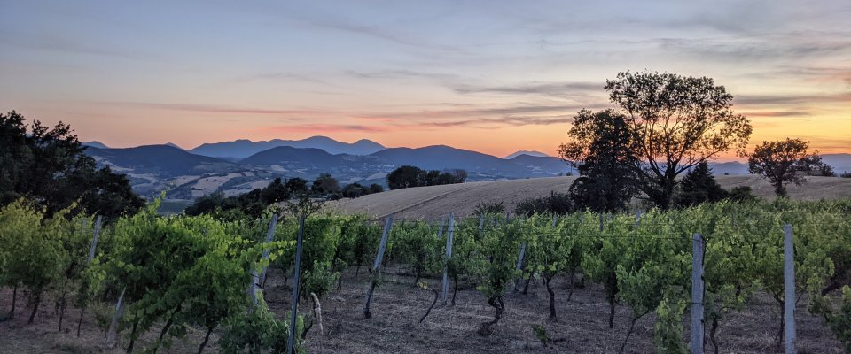 Mio Piccolo Castello